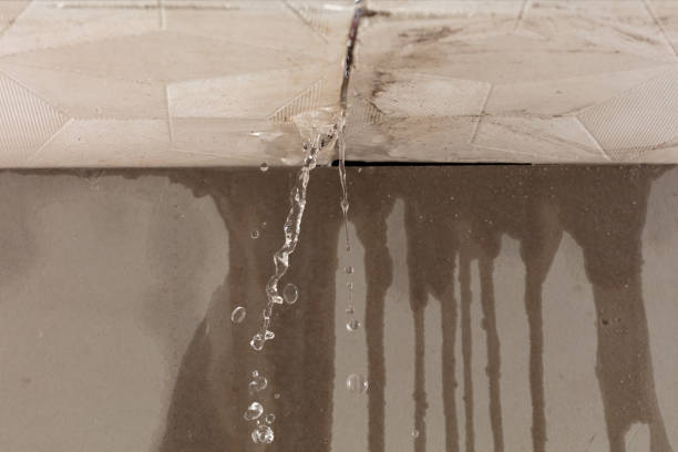 Professional Water Damage Inspection technician working in Atlasburg, PA